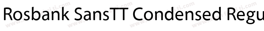 Rosbank SansTT Condensed Regular字体转换
